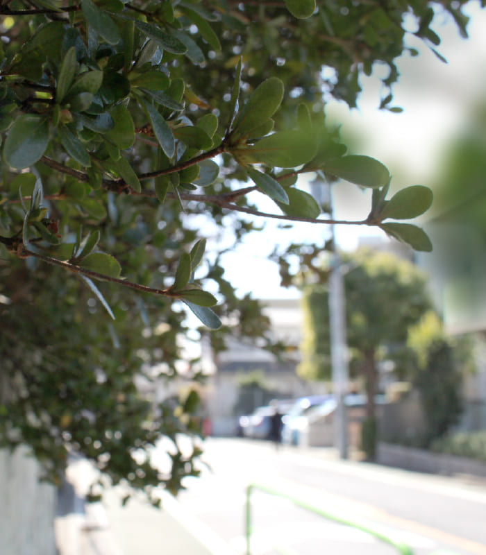 RESIDENCE第一種低層住居専用地域