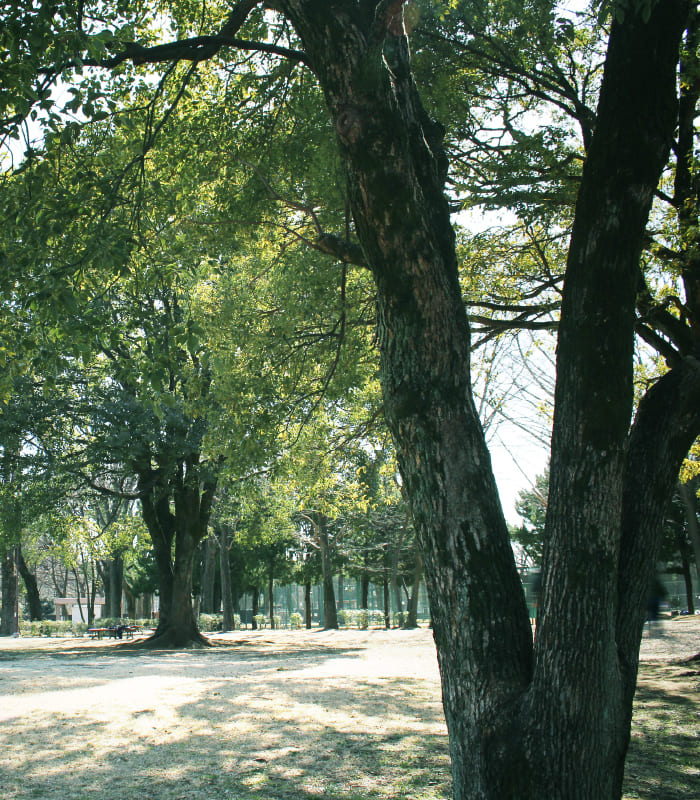 PARK城北中央公園へ徒歩10分